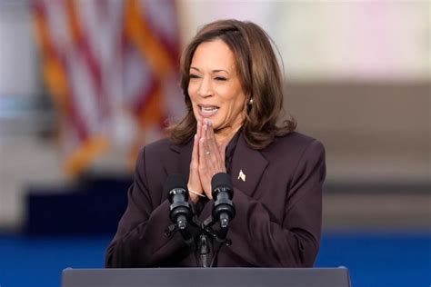 hannah owo . net|Kamala Harris concedes 2024 presidential election to Donald